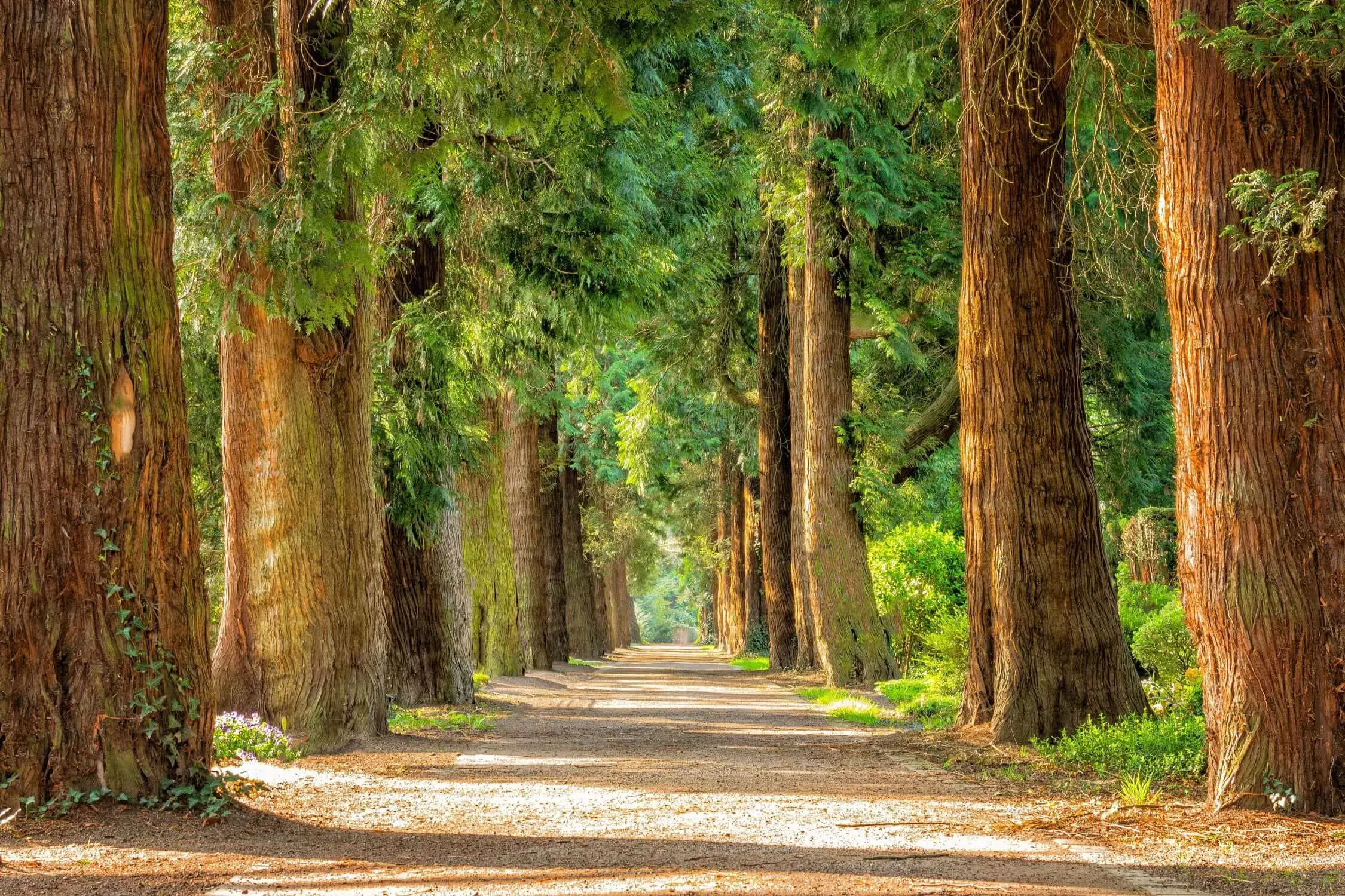 How Data Centers Impact the Environment
