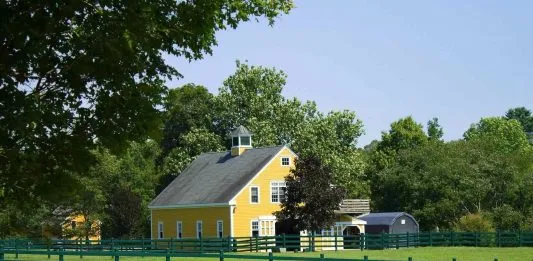 Rural Internet: Broadband Options and Providers